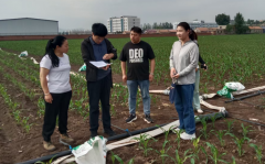 赤峰市开展2025年次要农做物品种试验查抄工做